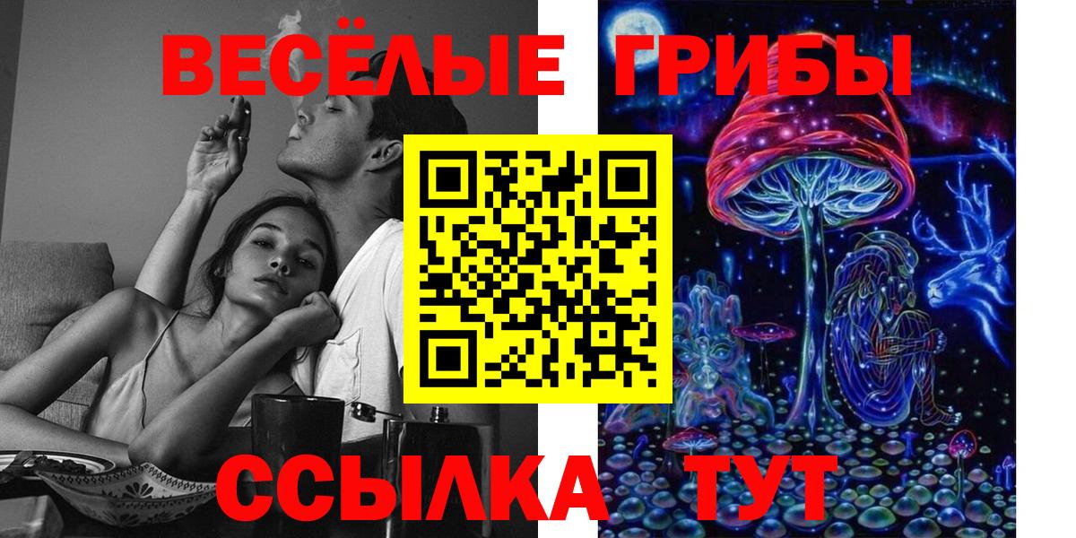 Галлюциногенные грибы прущие грибы  Вход с VPN  Курск 